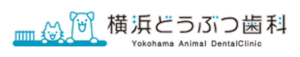 横浜どうぶつ病院