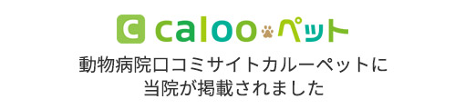 calooペット